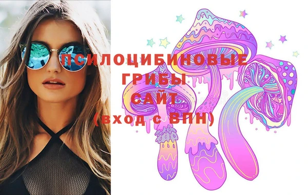 mdma Ельня